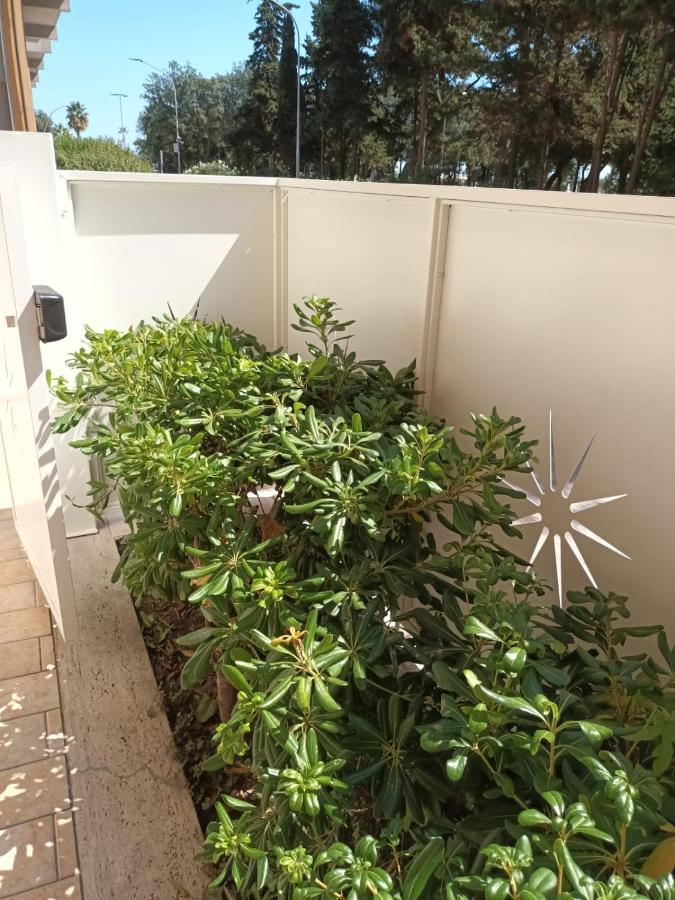 B&B Lido Apartament 10A تْشيفيتانوفا ماركي المظهر الخارجي الصورة